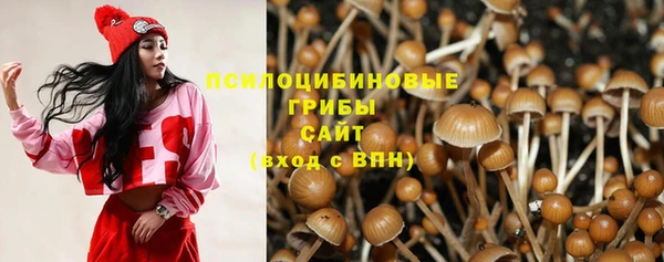 mdpv Ельня