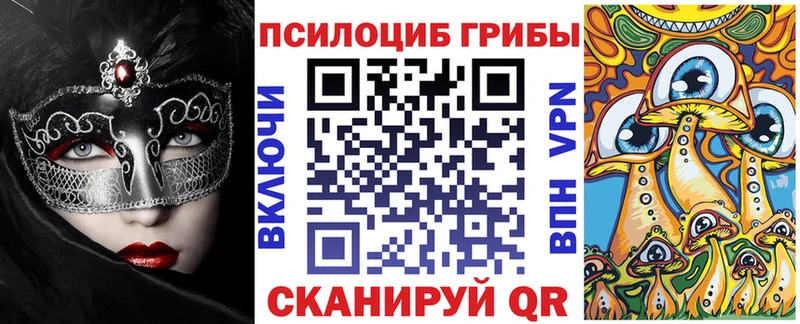 ОМГ ОМГ зеркало  Знаменск  Галлюциногенные грибы Psilocybe 