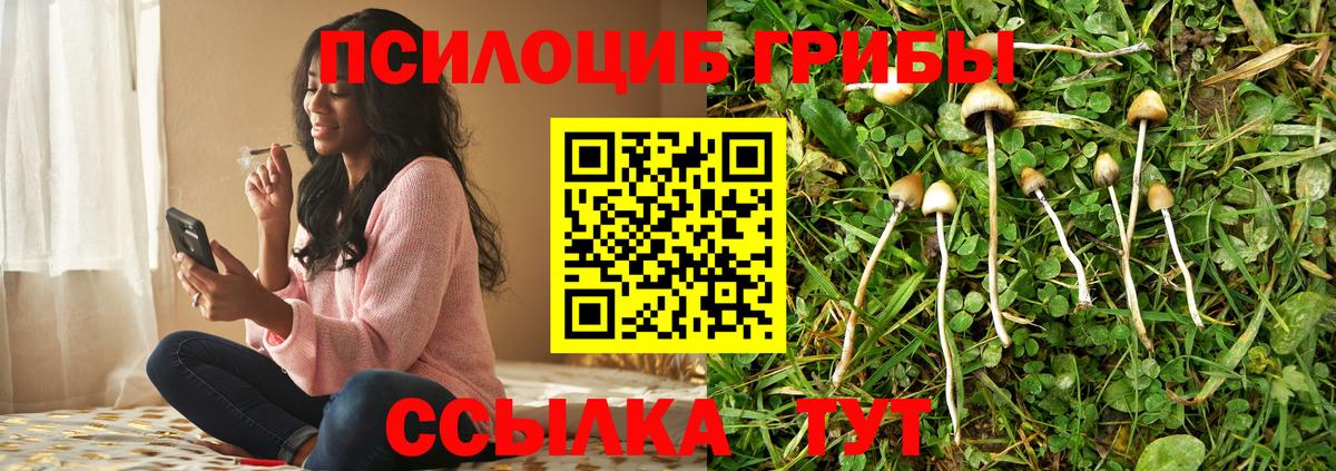 Псилоцибиновые грибы MAGIC MUSHROOMS Знаменск