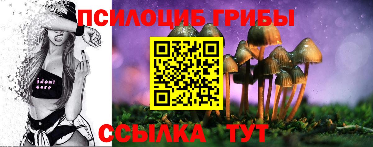 Галлюциногенные грибы прущие грибы  Вход с VPN  Псилоцибиновые грибы ЛСД  Знаменск 